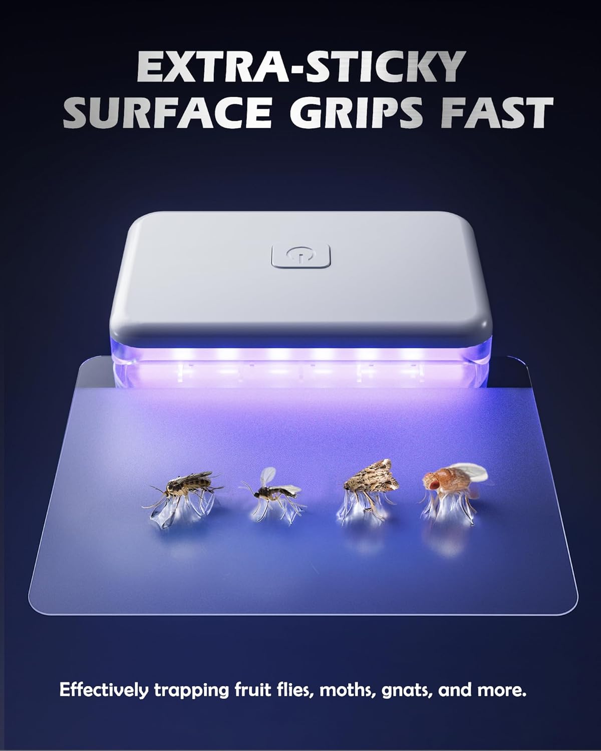 Indoor Fly Trap for Homes
